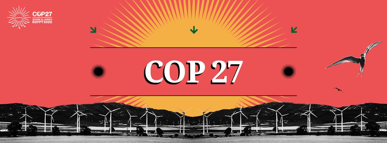 COP27